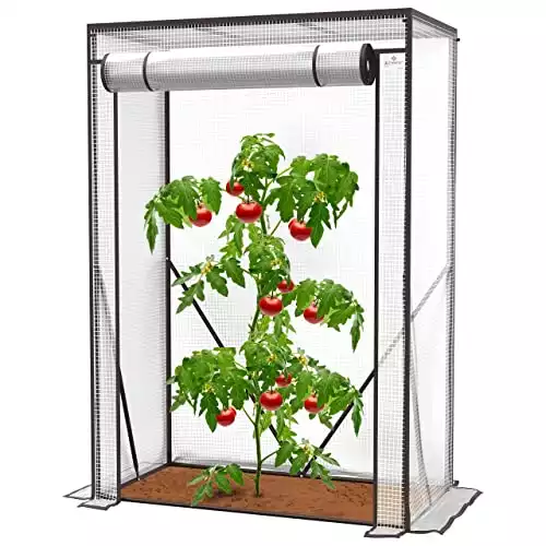 KESSER® Premium Tomatengewächshaus, transparent