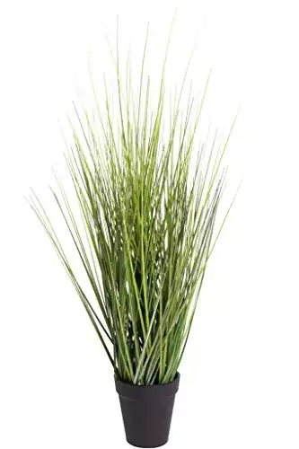 Nova-Nature künstliches Grasarrangement King Festuca im schwarzen Kunststofftopf (ca. 60 cm)