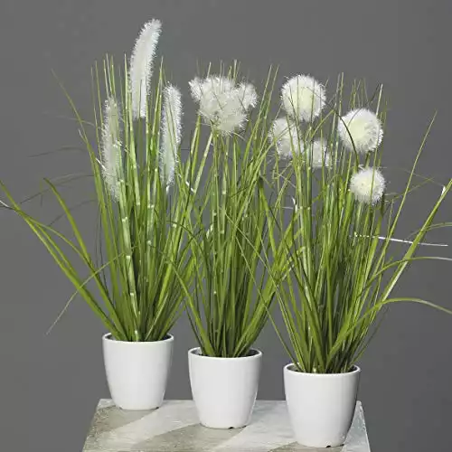 Seidenblumen Roß 3er Gras-Set 36cm im weißen Dekotopf DP Kunstpflanzen Kunstgras Dekogras künstliches Gras Grasbusch