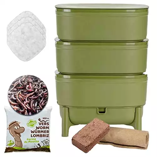 WORMcube Wurmkiste Set aus recycletem Kunststoff mit 500 Würmern