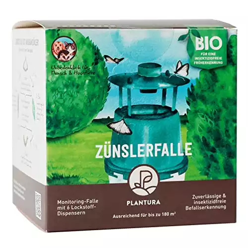 Plantura insektizidfreie Pheromonfalle für Buchsbaumzünsler